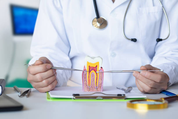 Best Emergency Dentist for Lost Fillings or Crowns in Kean University, NJ